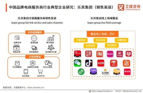 2023年中國品牌電商服務商行業研究報告 信息咨詢服務洞察