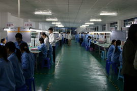 深圳市恒越達電子皮革及皮革制品批發(fā)行業(yè)分析